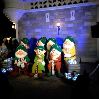 It is really a treat to see all seven of the dwarfs, or any; however at special events such as Mickey's Very Merry Christmas Party you can catch a rare picture with them.